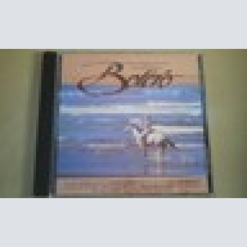 CD--BOLERO--RAVEL--RIMSKY--PROKOFIEV--VA---ALBUM