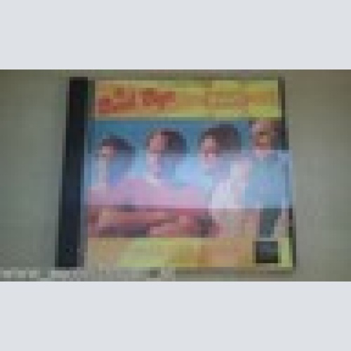 CD--THE BEACH BOYS--ENDLESS SUMMER-------ALBUM