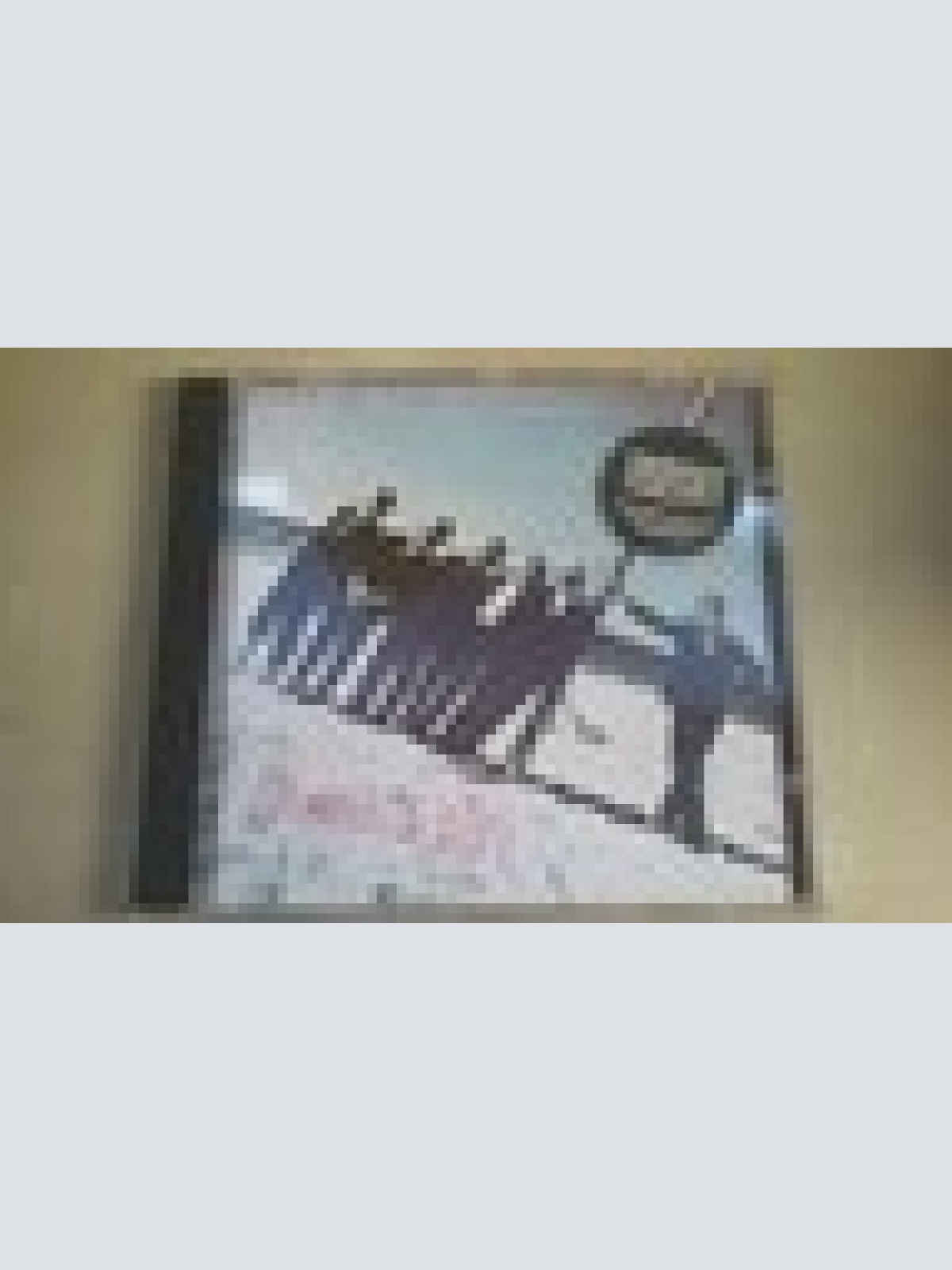 CD--FURY IN THE SLAUGHTERHOUSE--SECONDS TO FASS--------ALBUM