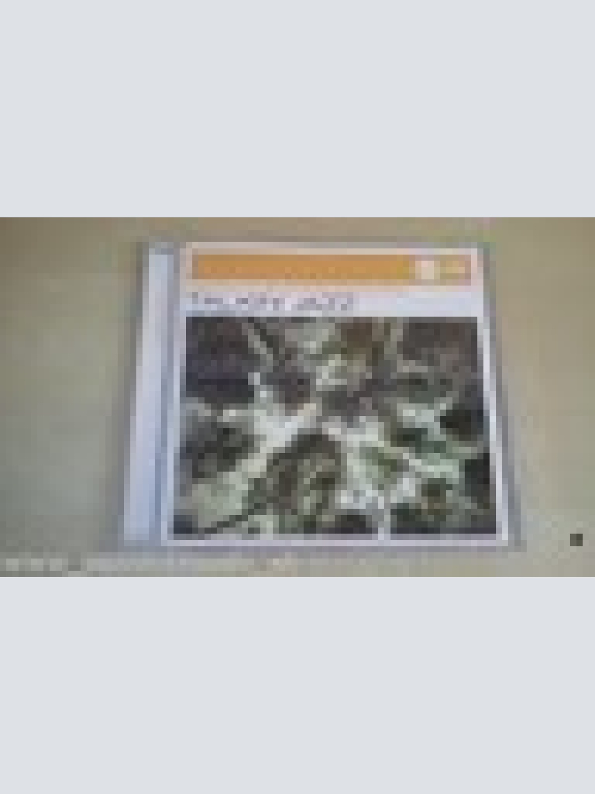 CD--TALKIN JAZZ-- ALBUM