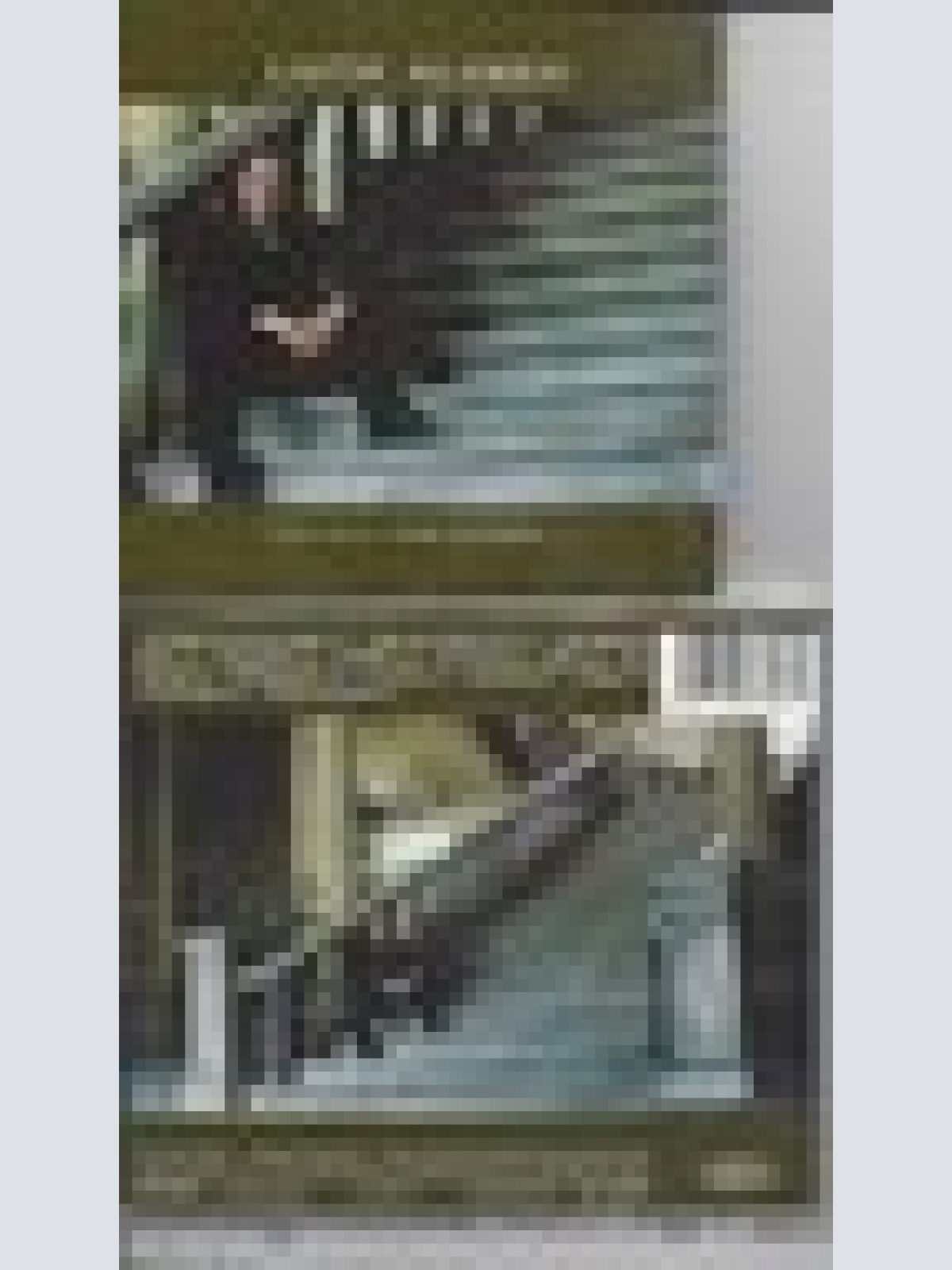 CD--LAITH AL-DEEN--ICH WILL NUR WISSEN -ALBUM