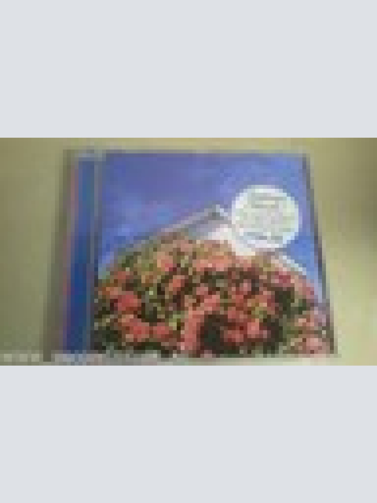 CD--SURPRISE INSIDE-ALBUM