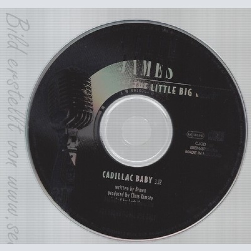 CD--COLIN JAMES AND THE LITTLE BIG BAND--CADILAC BABY--PROMO