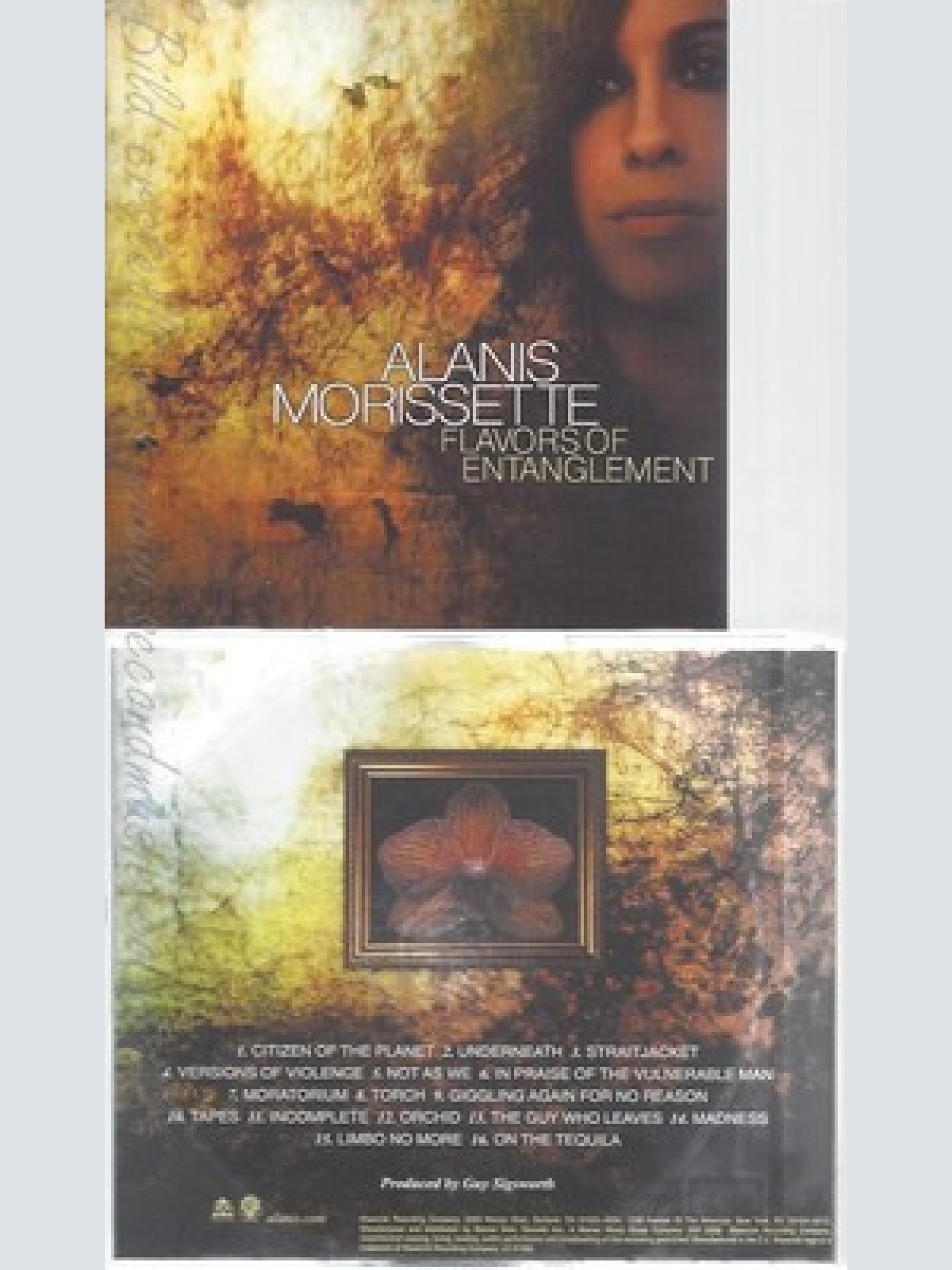 CD--ALANIS MORISSETTE--FLAVORS OF ENTANGLEMENT