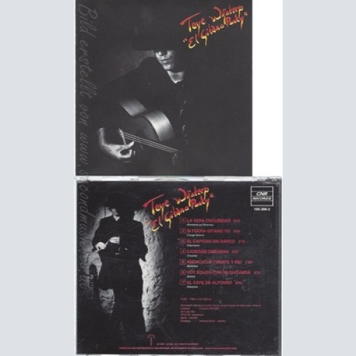 CD--TEYE WIJNTERP--EL GITARO PUNKY