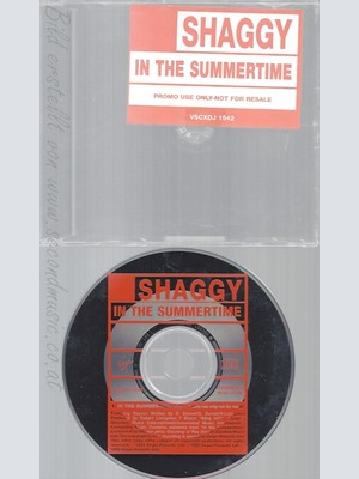 CD--SHAGGY--IN THE SUMMERTIME--PROMO