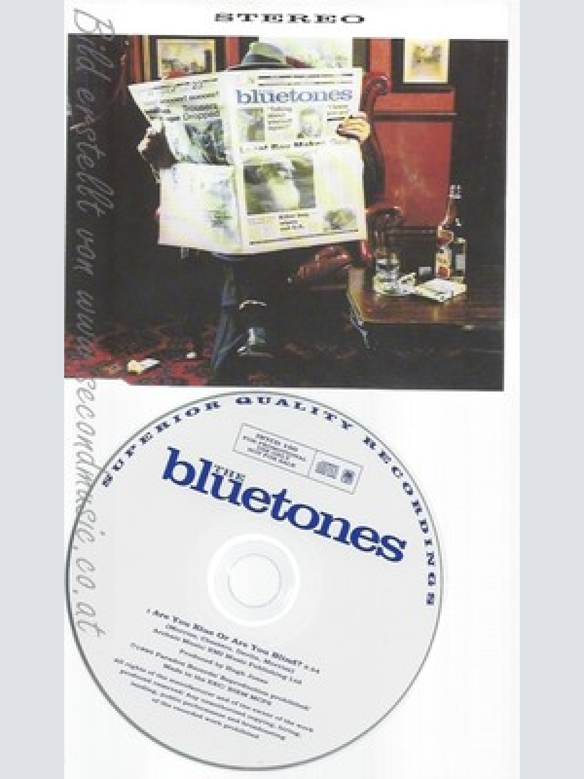 CD--THE BLUETONES--ARE YOU BLUE OR ARE YOU BLIND--PROMO
