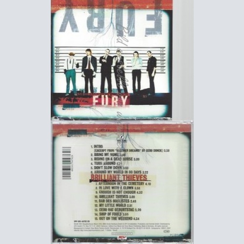 CD--FURY IN THE SLAUGHTERHOUSE -- -- BRILLIANT THIEVES