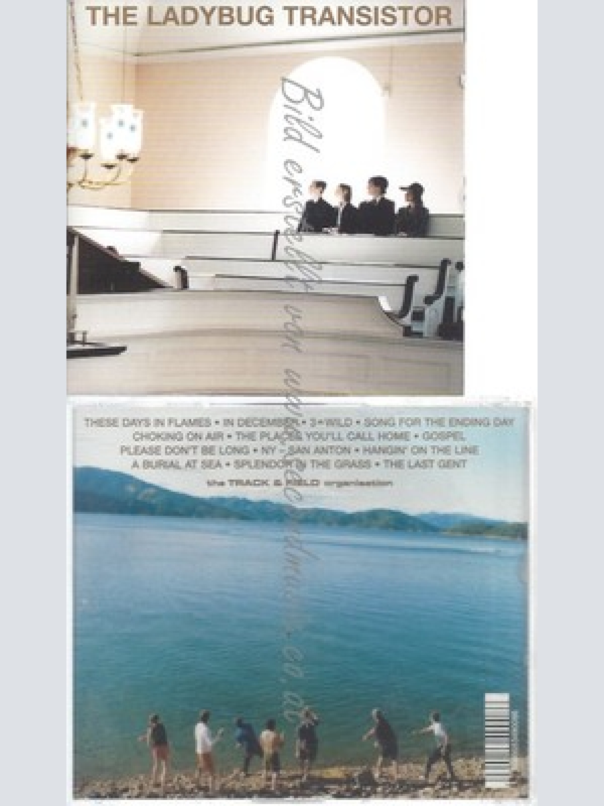 CD--LADYBUG TRANSISTOR -- -- LADYBUG TRANSISTOR