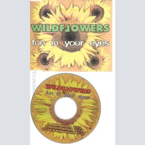 CD--WILDFLOWERS -- - SINGLE -- FUN IN YOUR EYES