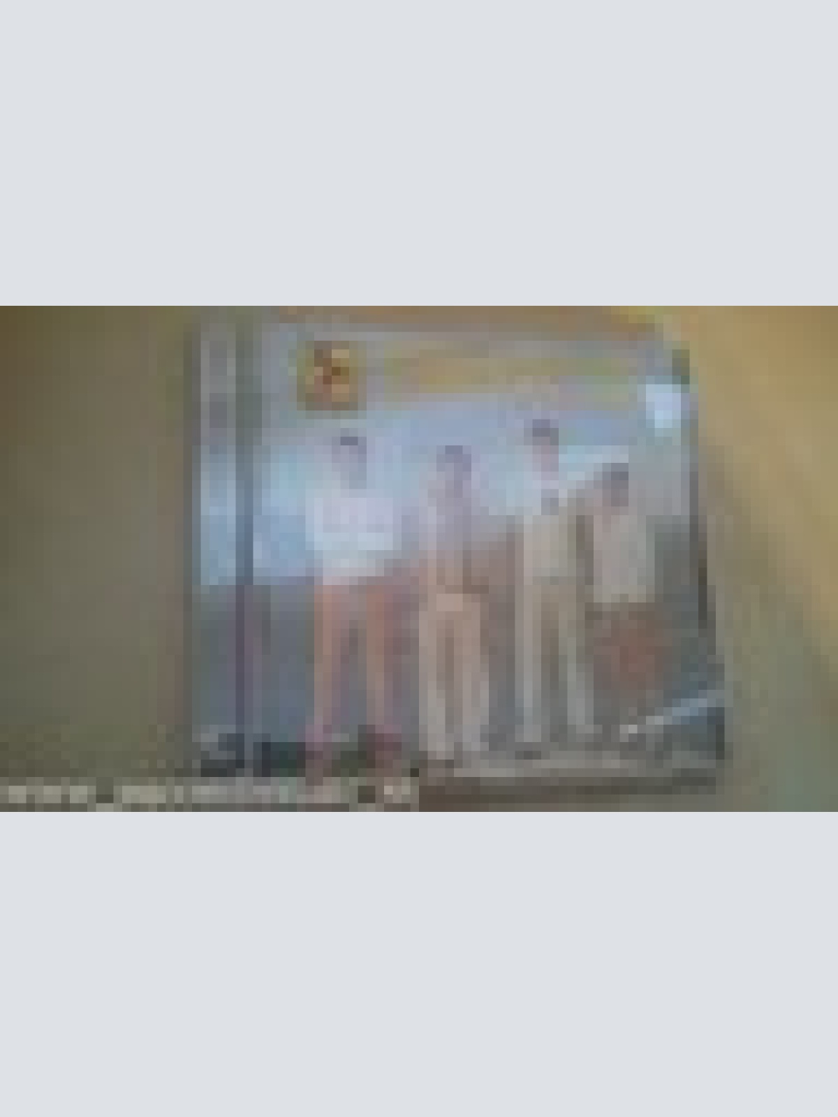 CD--FREISTIL --HÖRST DU MEINE LIEDER----ALBUM