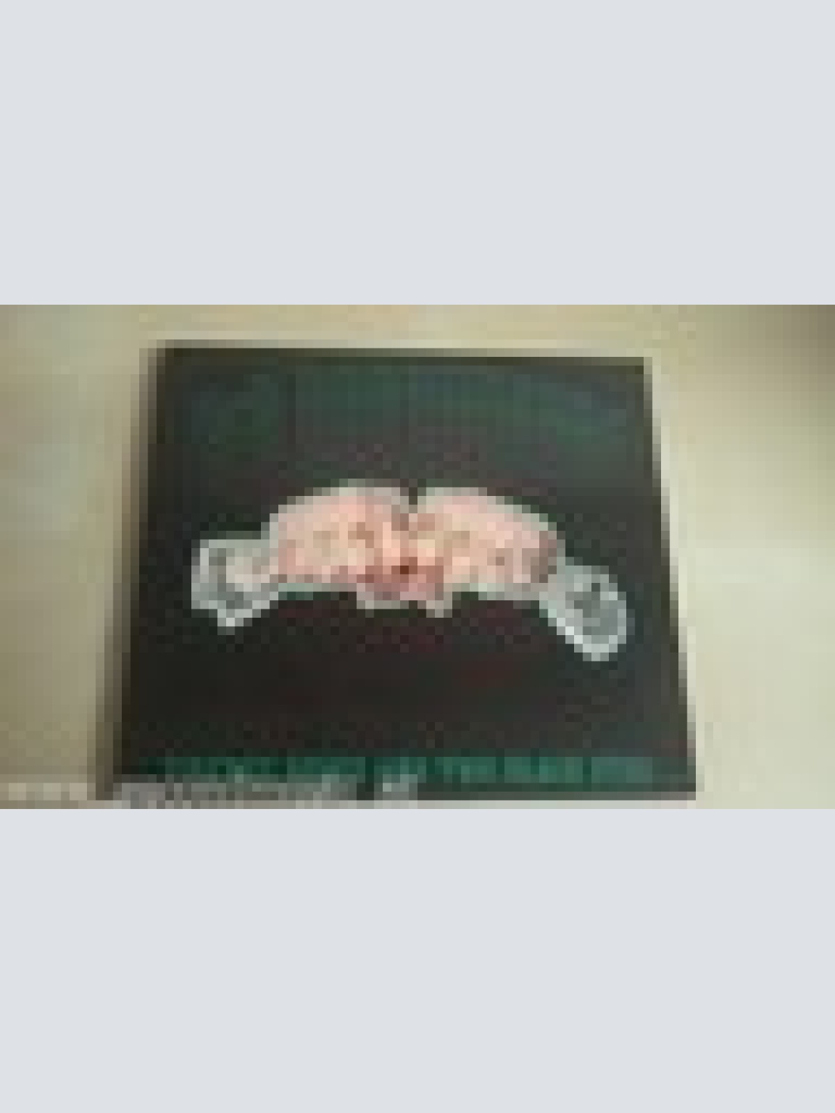 CD--US ROUGHNECKS--TWENTY BUCKS AND TWO BLACK EYES -ALBUM