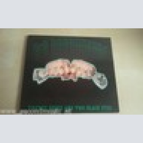 CD--US ROUGHNECKS--TWENTY BUCKS AND TWO BLACK EYES -ALBUM