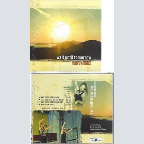 CD--MARVELLOUS--WAIT UNTIL TOMORROW--PROMO