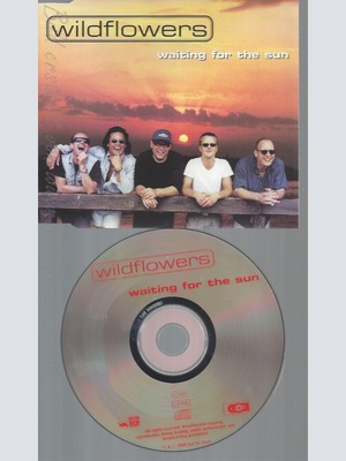 CD--WILDFLOWERS -- ----INCL. 3 VERSIONS, 2000-