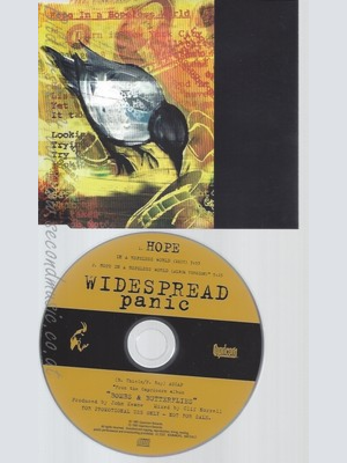 CD--WIDESPREAD PANIC--HOPE IN A HOPELESS WORLD----PROMO