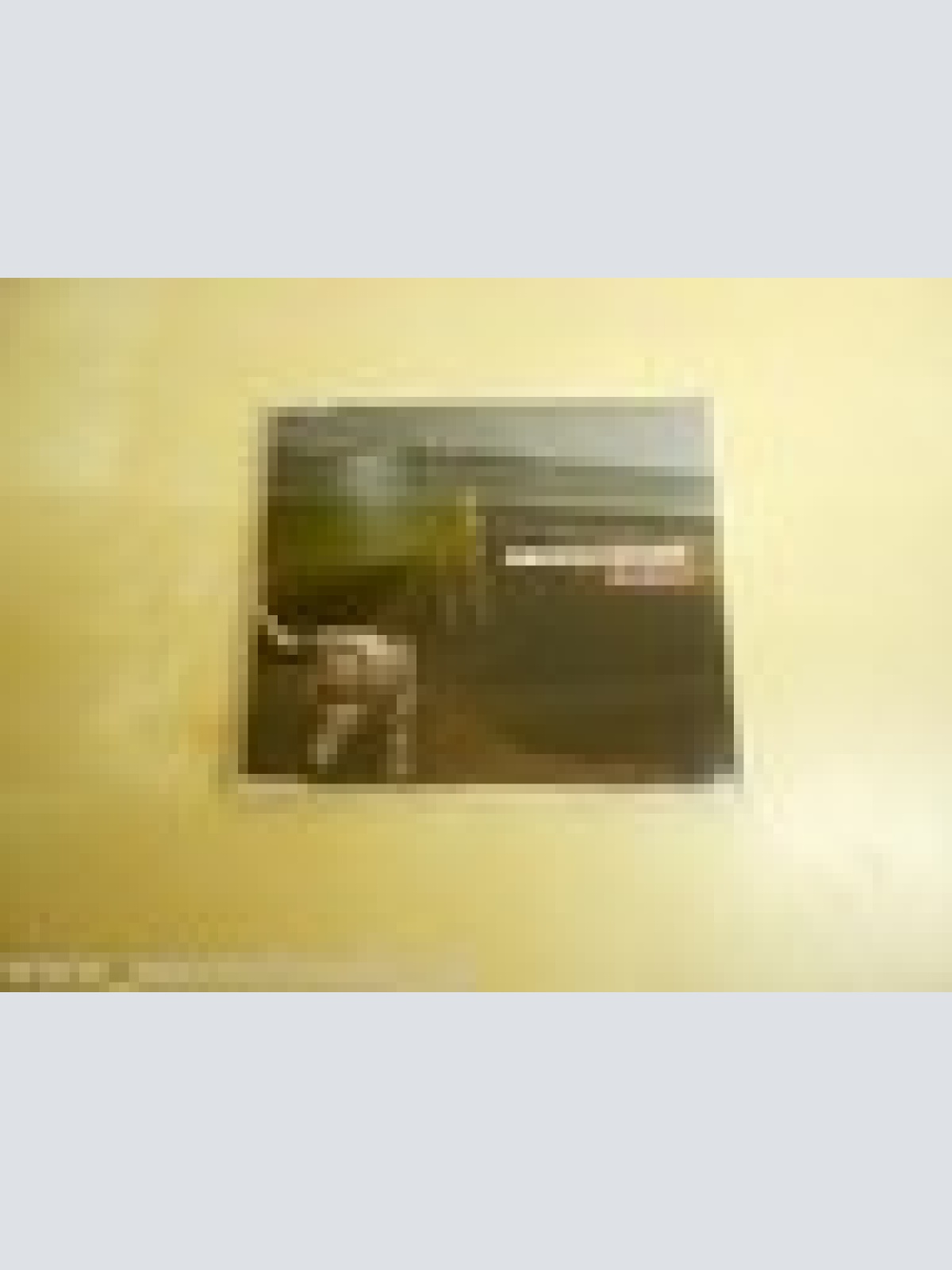 MAXI CD-- MONDSCHEINER--THE SILENCE--2 TRACKS