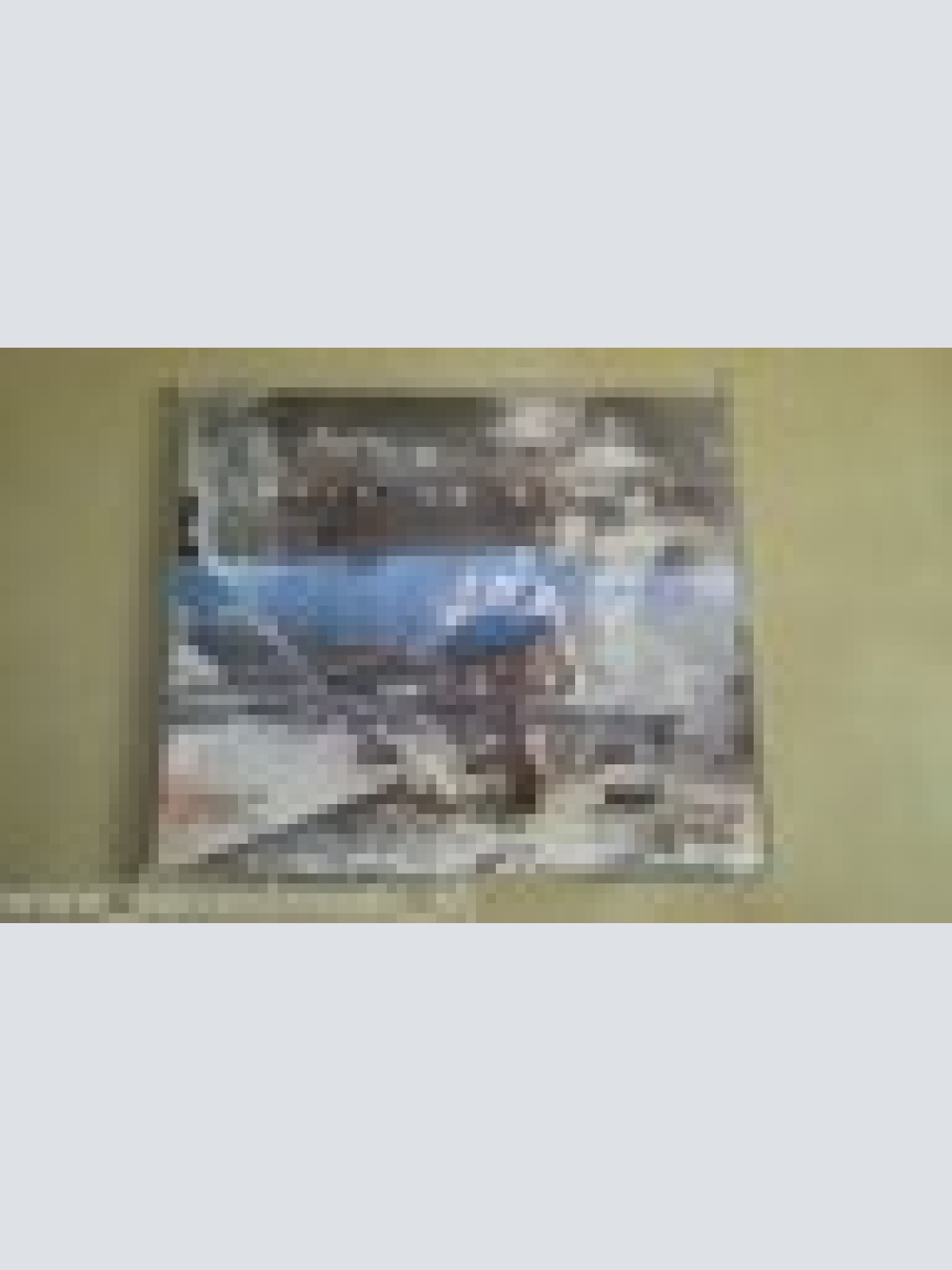 MAXI CD--GENTLEMAN--LEAVE US ALONE----PROMO-2 TRACKS