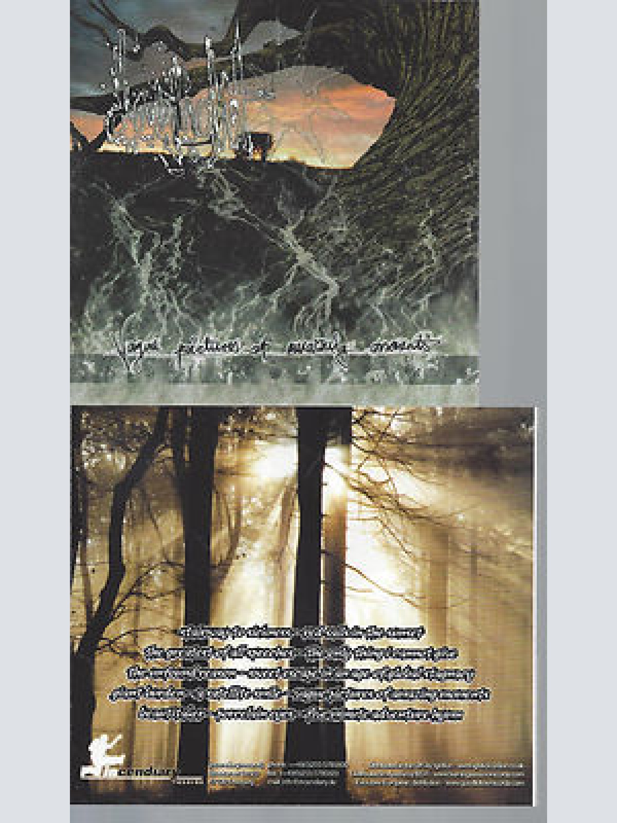 CD--DAYLIGHT VAGUE PICTURES OF AMAZING MOMENTS