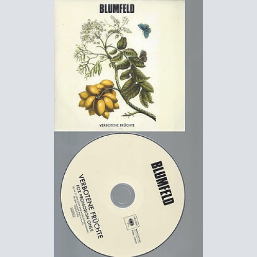 CD-THE GO TEAM LADYFLASH--PROMO