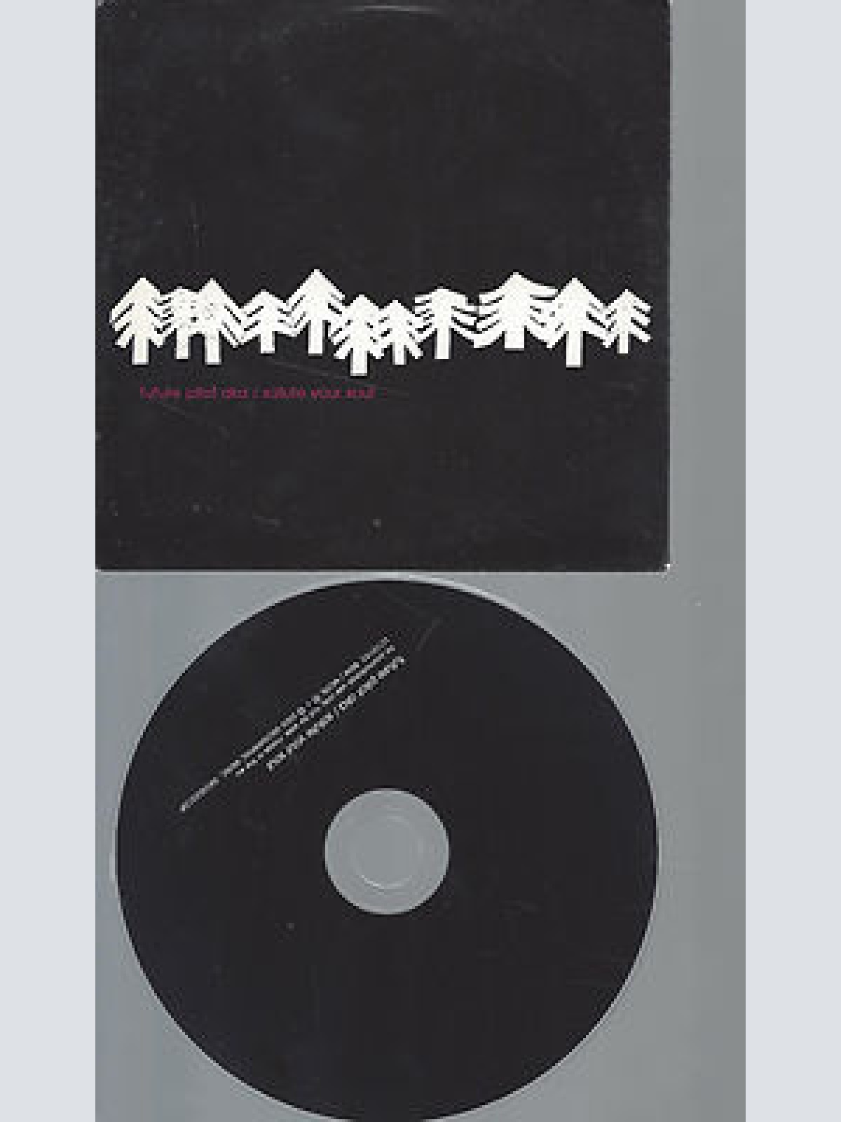 CD--FUTURE PILOT AKA SALUTE YOUR SOUL --PROMO