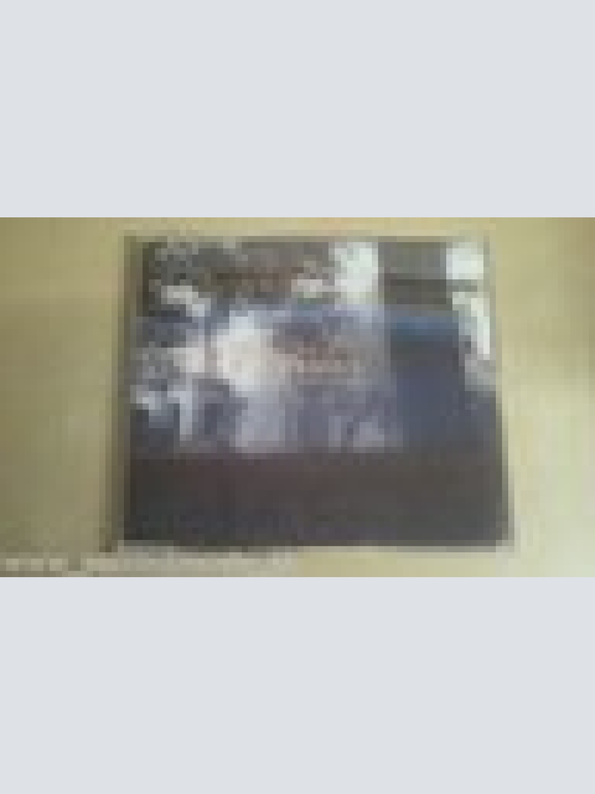 MAXI CD--THE RECLUSE--CURSIVE--3 TRACKS