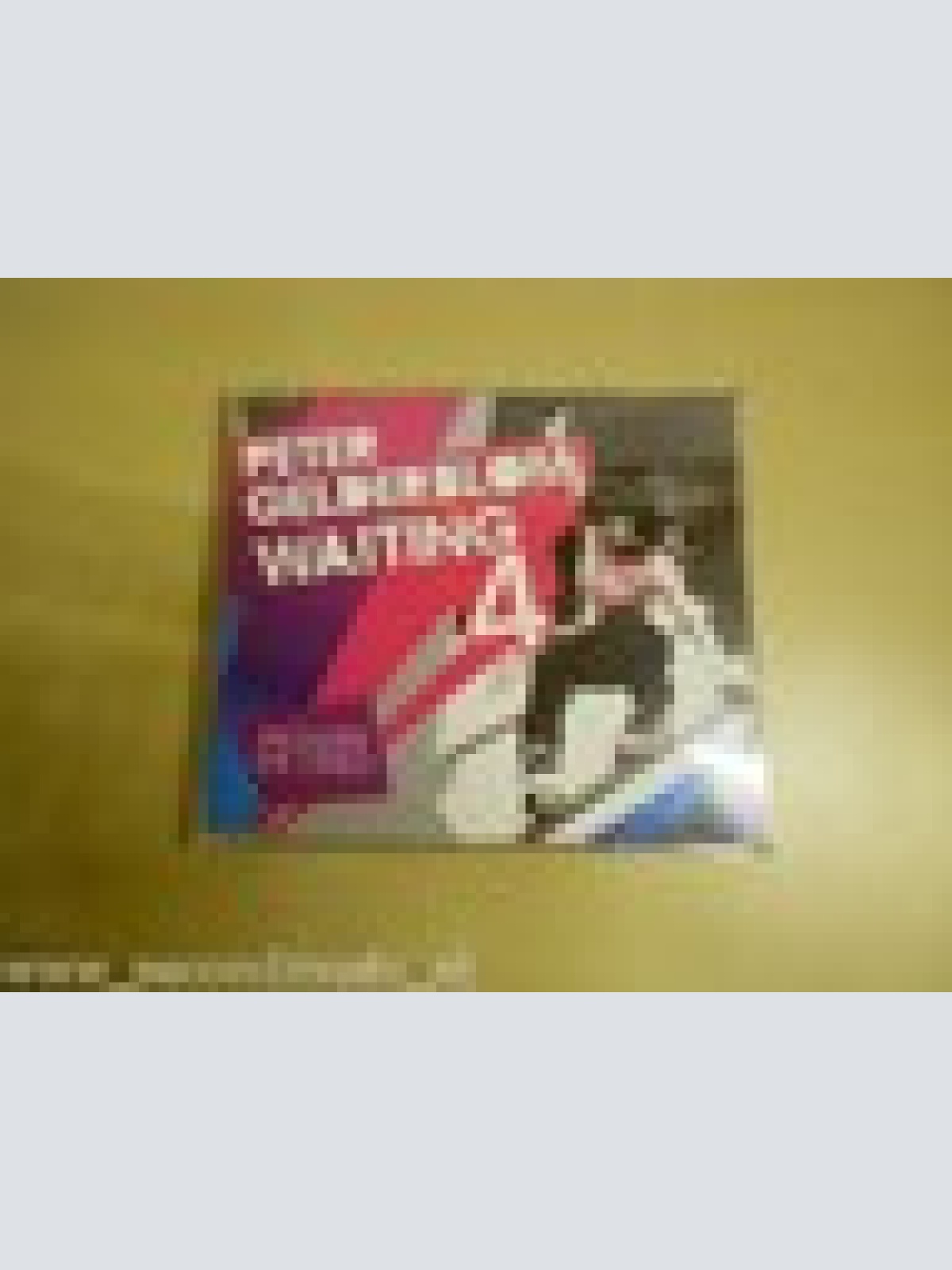 MAXI CD --PETER GELERBLOM --WAITING 4--5 TRACKS