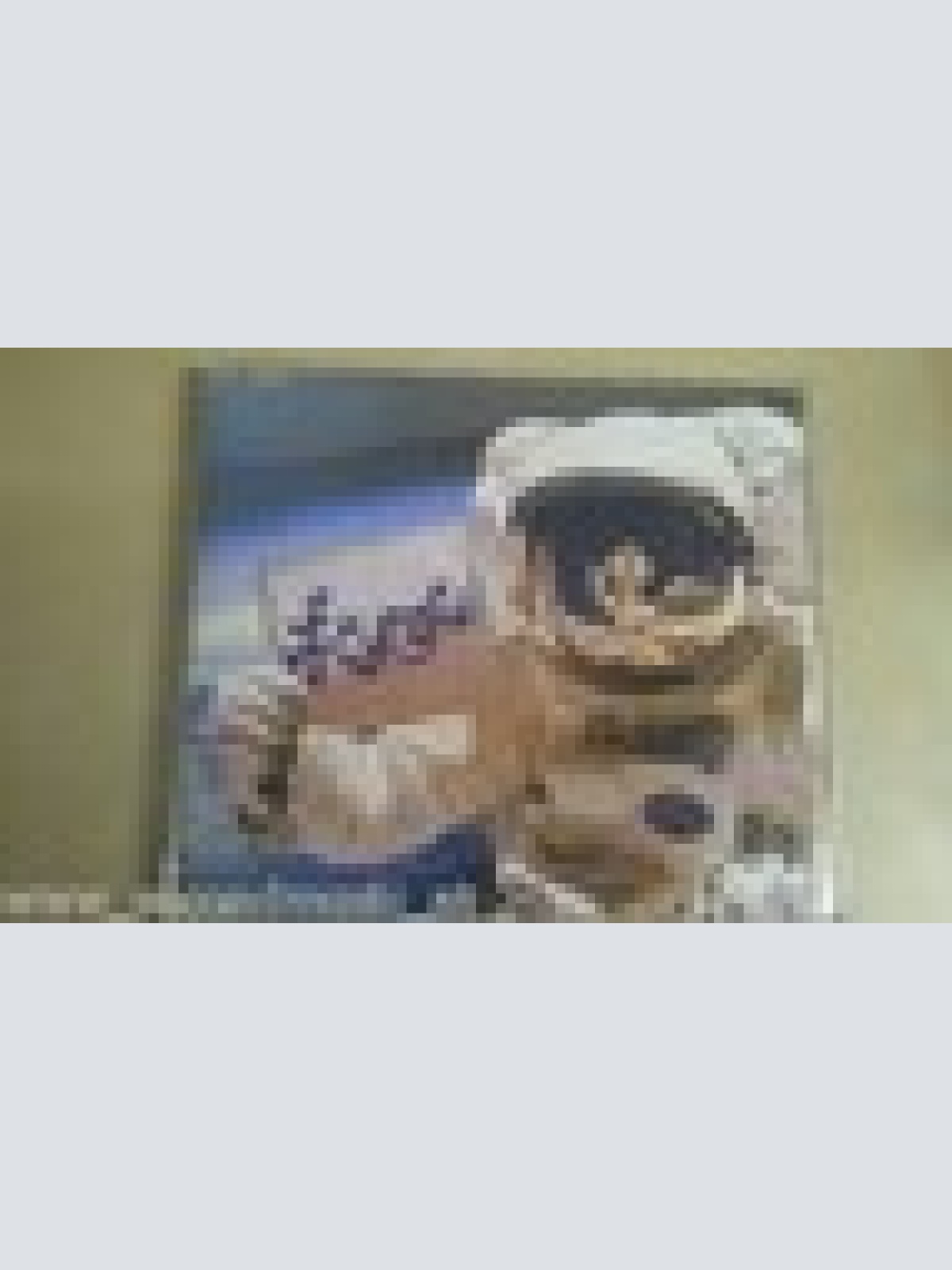 MAXI CD--KUNGFU--ASTRONAUT---PROMOTIONAL -3 TRACKS