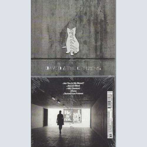 CD--DAVID & THE CITIZENS--ARE YOU IN MY BLOOD? | SINGLE