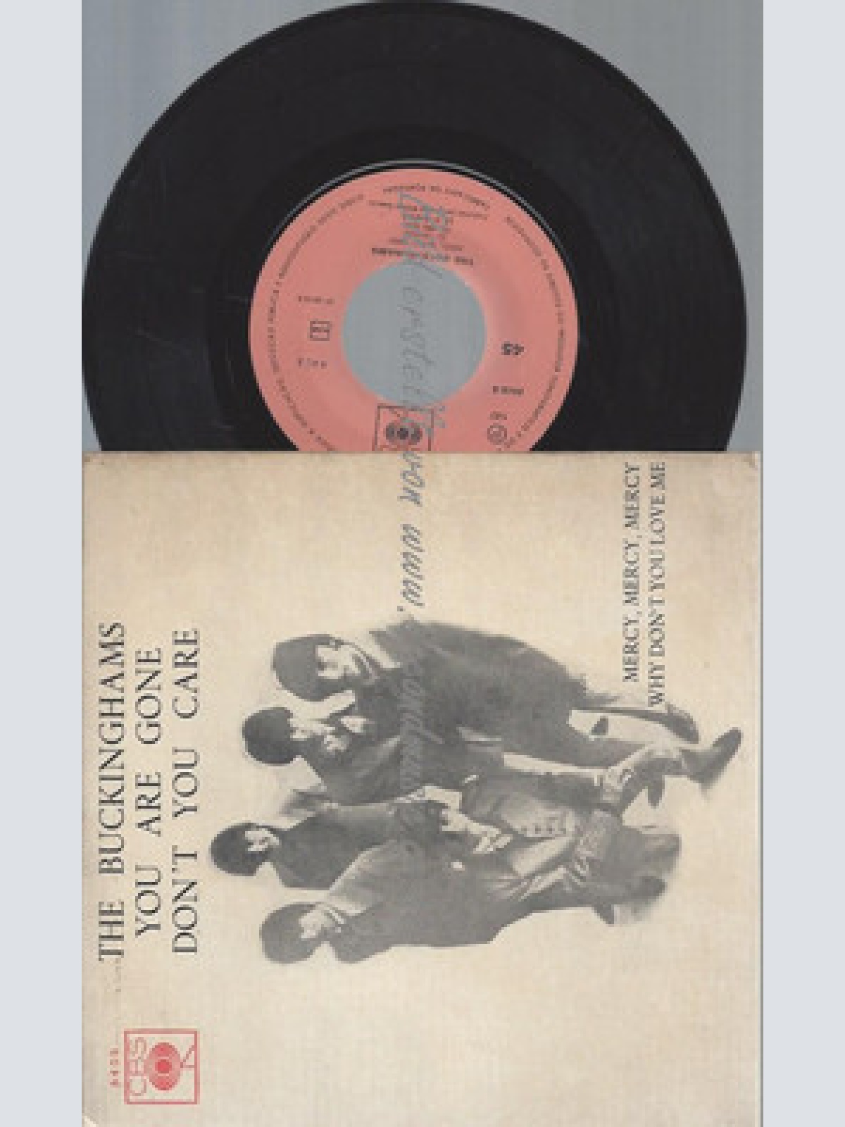 7" EP / THE BUCKINGHAMS YOU ARE GONE