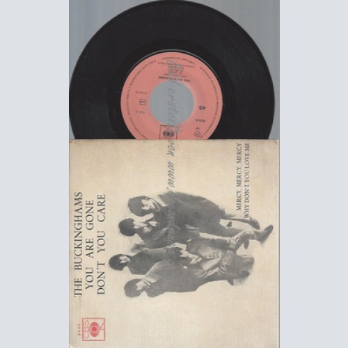 7" EP / THE BUCKINGHAMS YOU ARE GONE