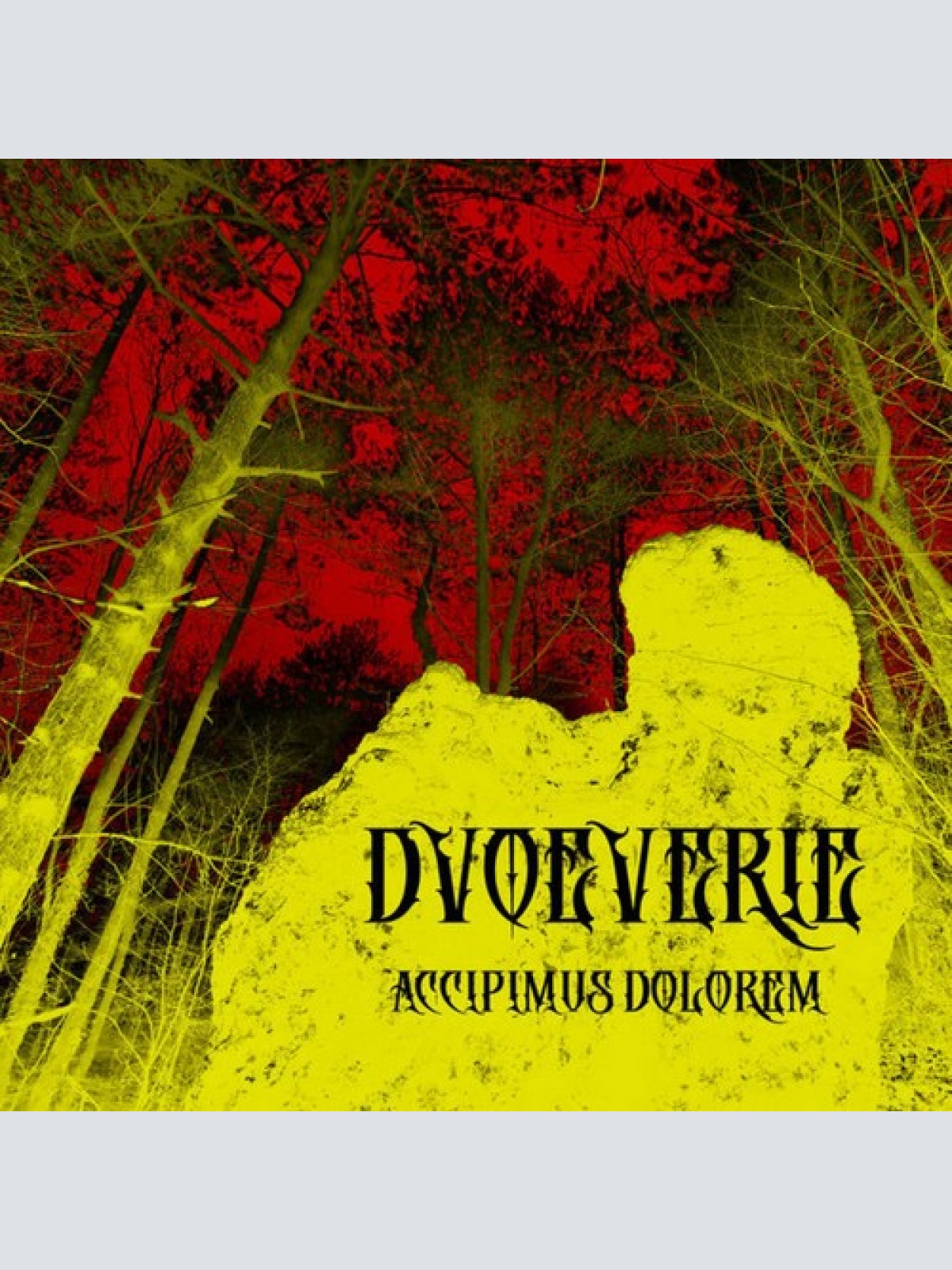 CD, Album, Ltd Dvoeverie - Accipimus Dolorem