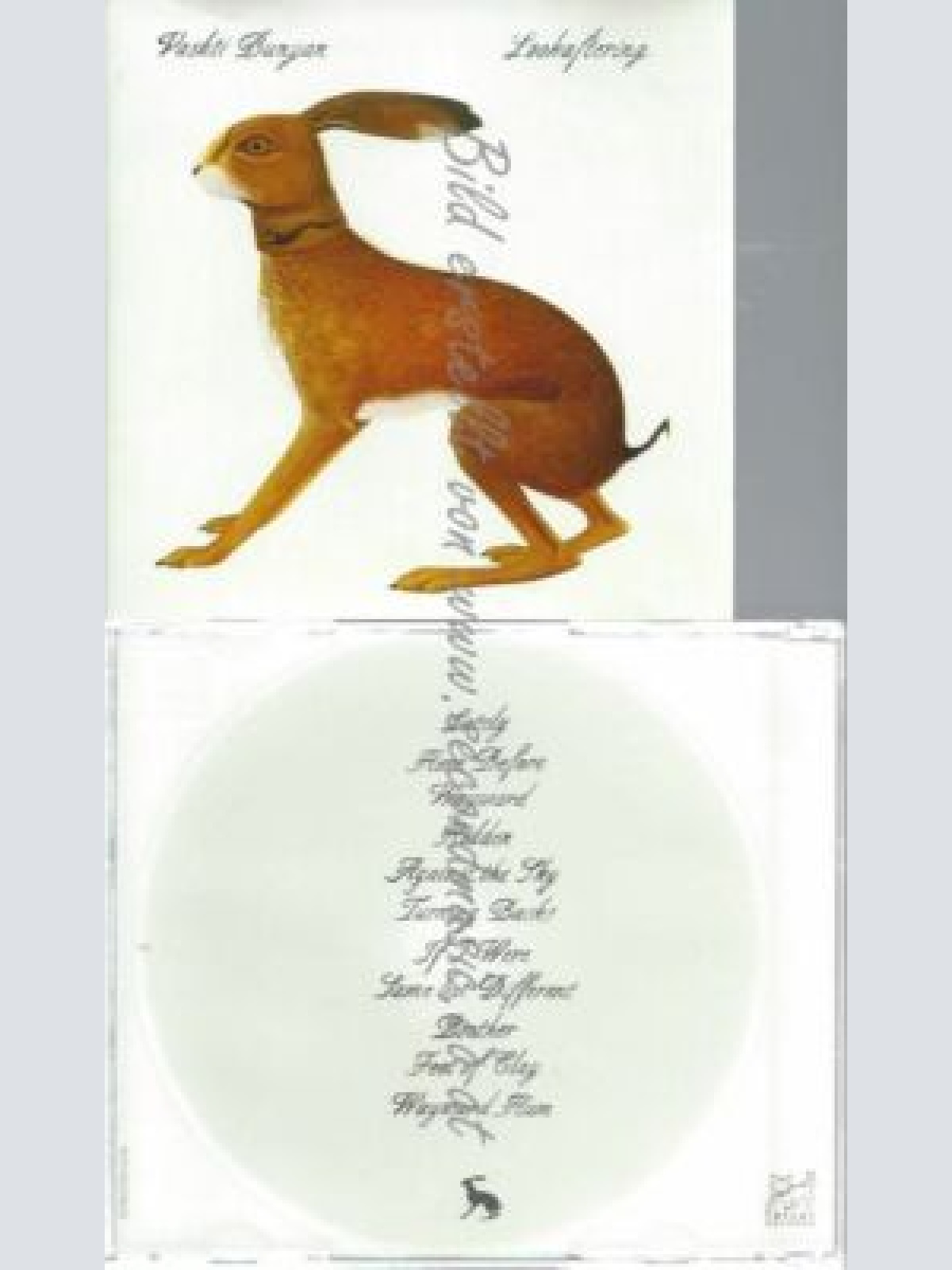CD--VASHTI BUNYAN | --LOOKAFTERING