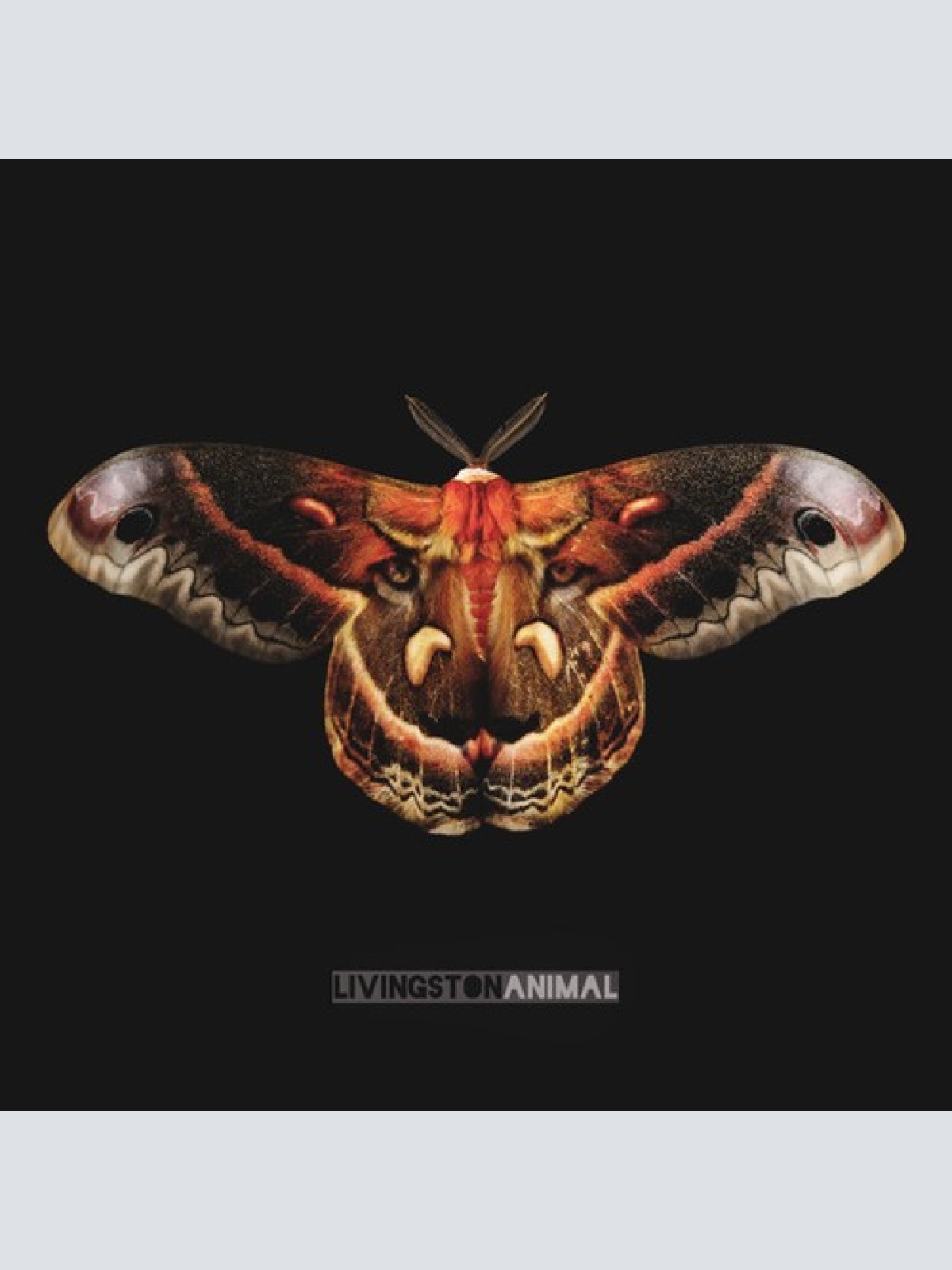 CD, Album Livingston - Animal