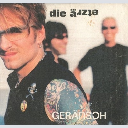 2xCD, Album, Gat Die Ärzte - Geräusch