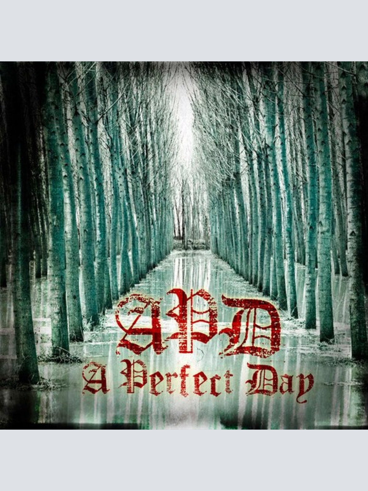 CD, Album A Perfect Day (2) - A Perfect Day