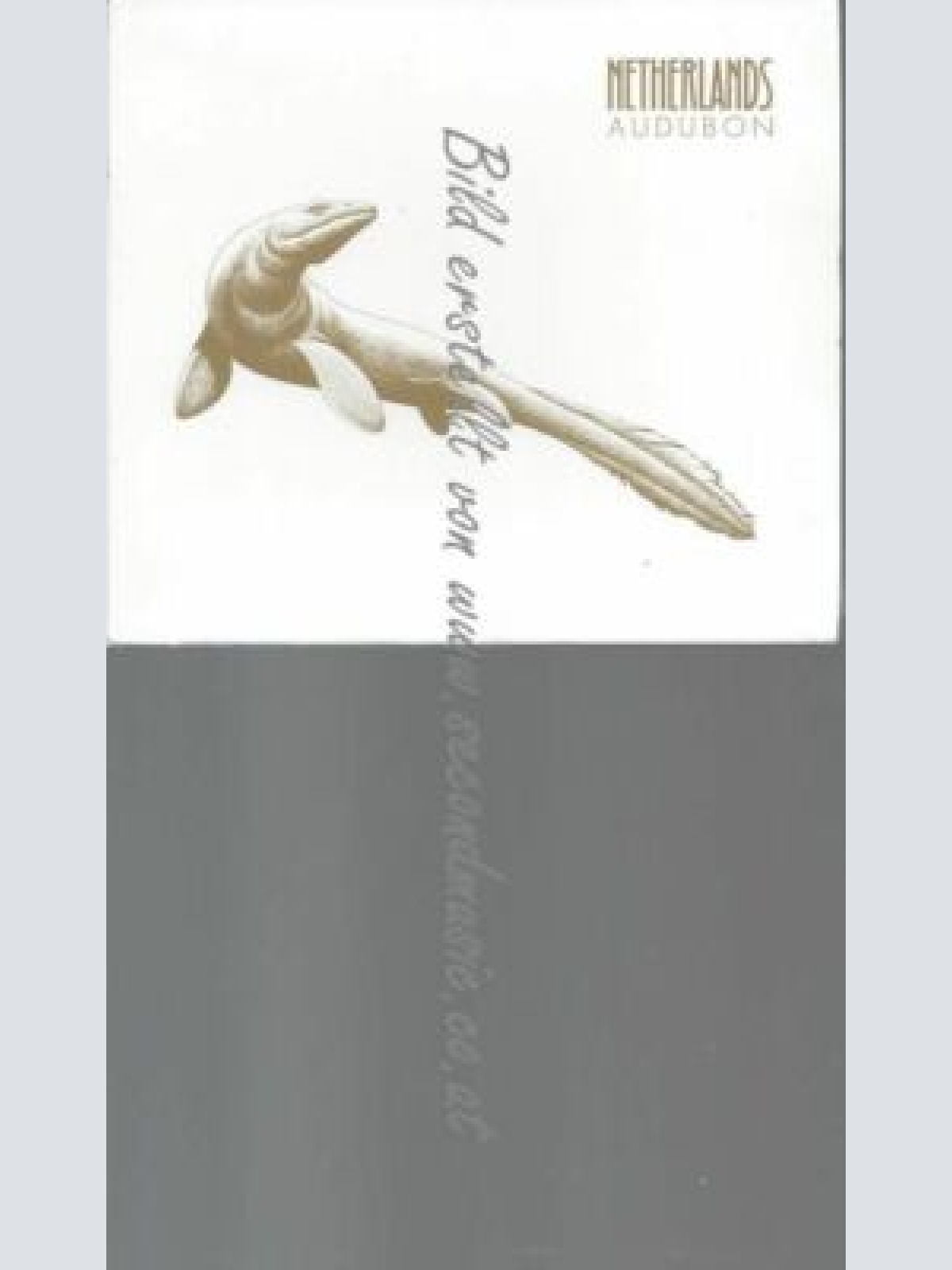 CD--NETHERLANDS | --AUDUBON