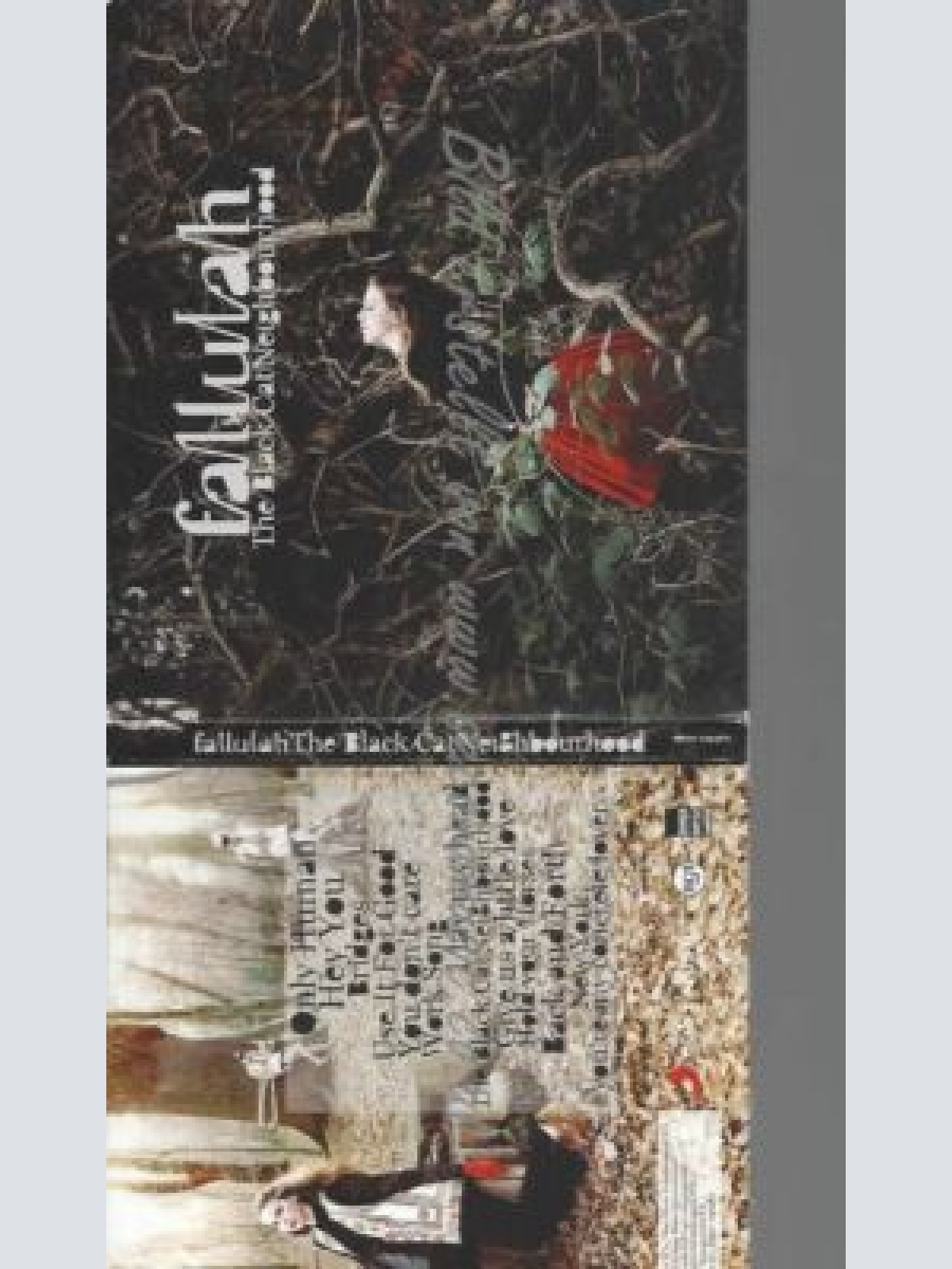 CD--FALLULAH--THE BLACK CAT NEIGHBOURHOOD