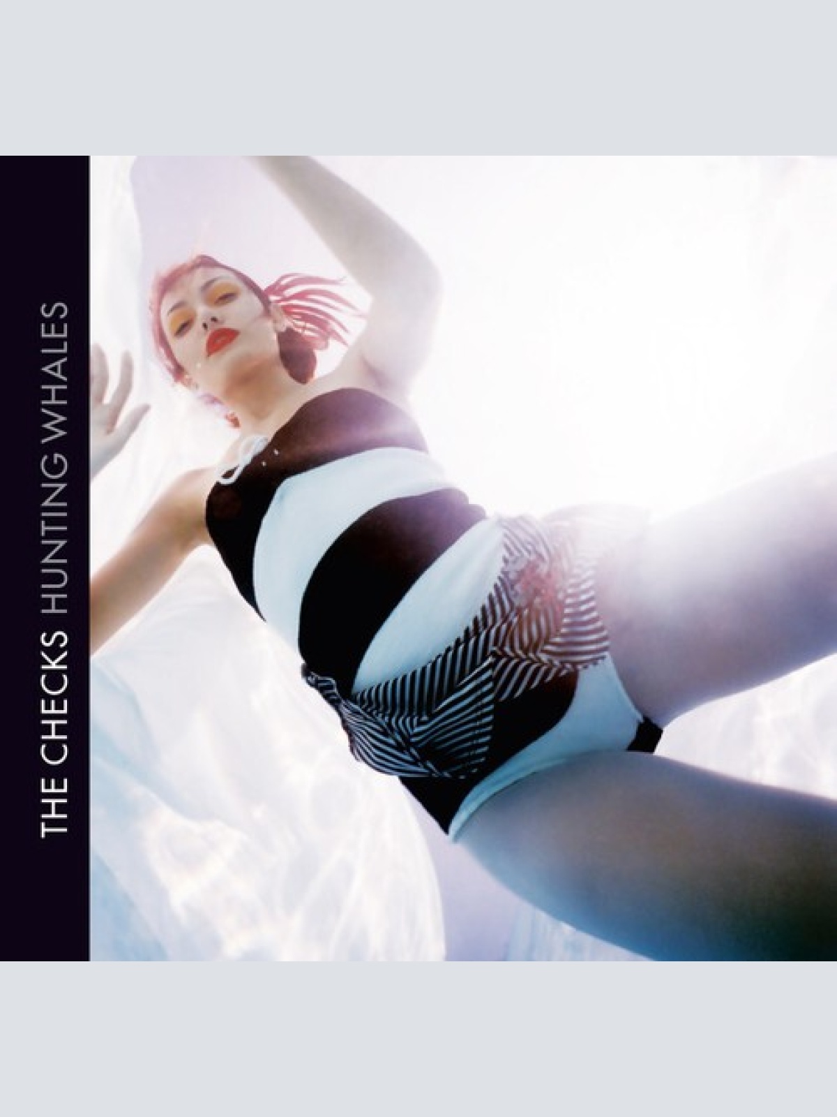 CD, Album The Checks - Hunting Whales