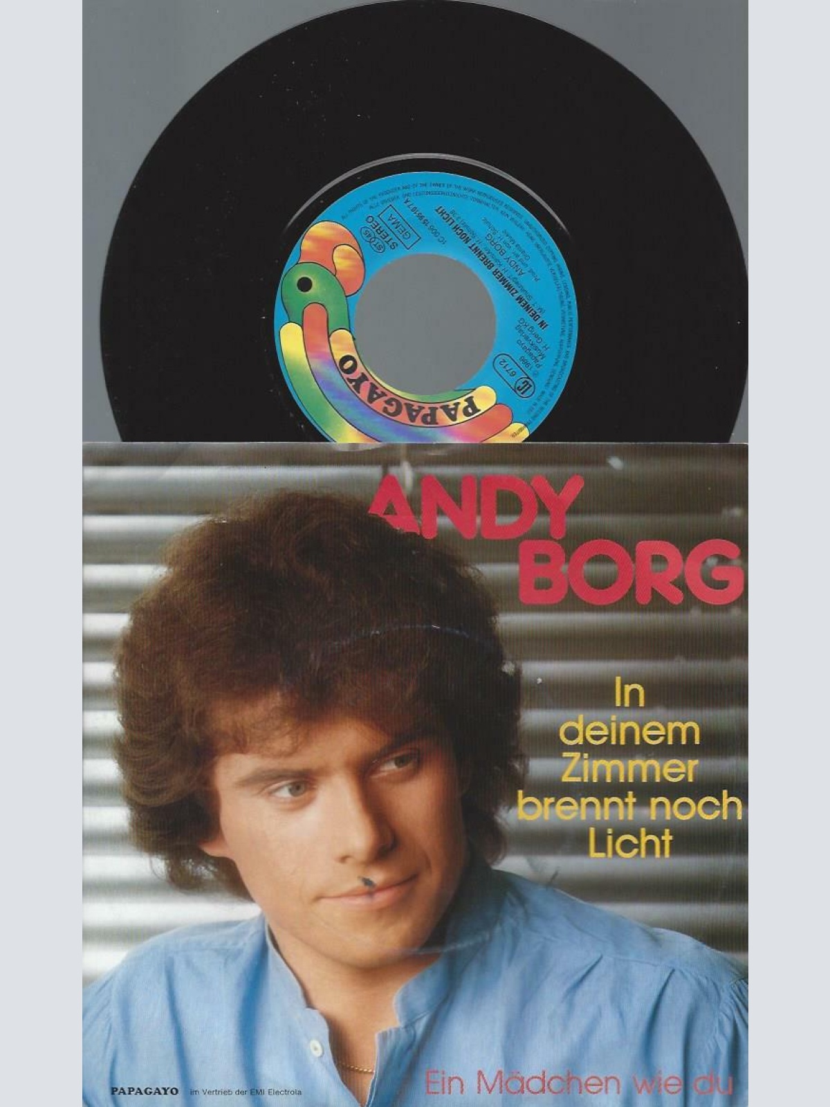7" Andy Borg – In Deinem Zimmer Brennt Noch Licht