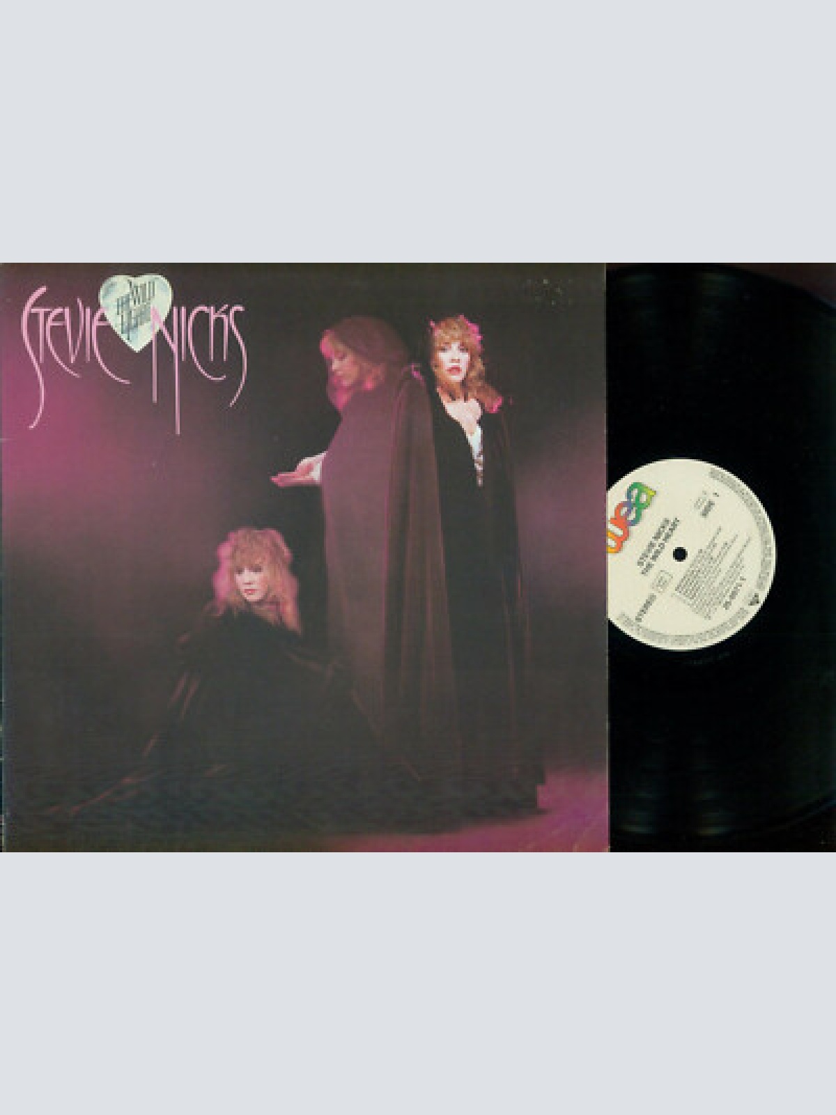 LP-   Stevie Nicks – The Wild Heart