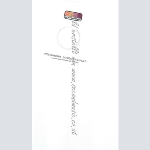 PROMO CD--PETSCH  MOSER --SCHREI ES RAUS LAUT  -- 2TR