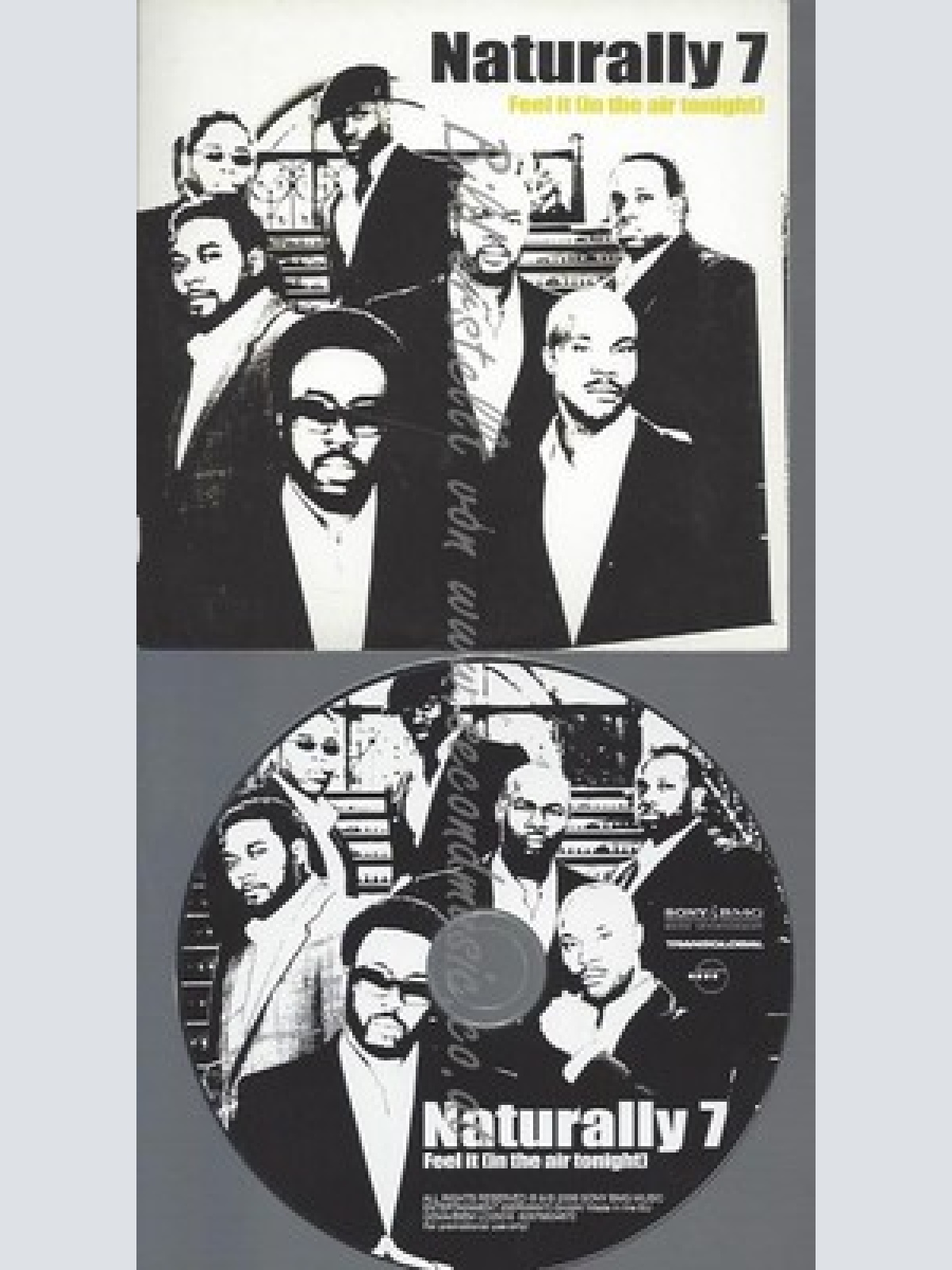 PROMO CD--NATURALLY 7--FEEL IT--2TR