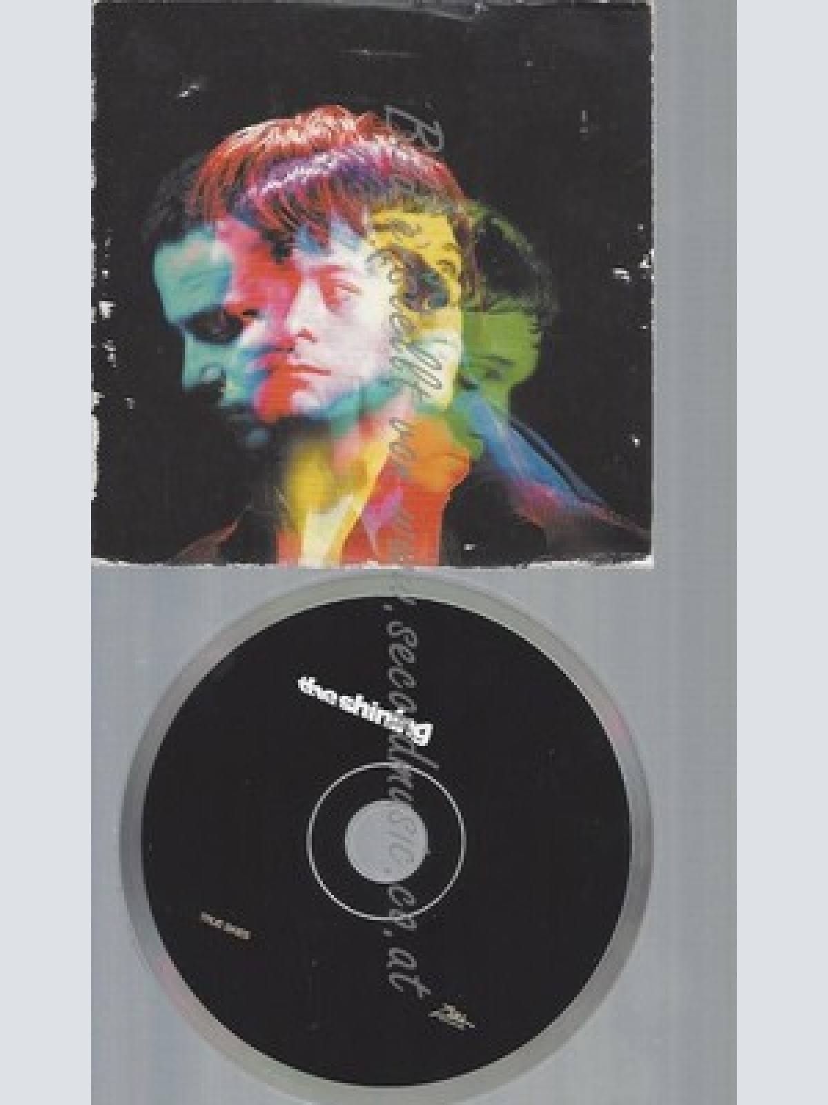 CD--CARDSLEEVE-THE SHINNING--TRUE SKIES----PROMO