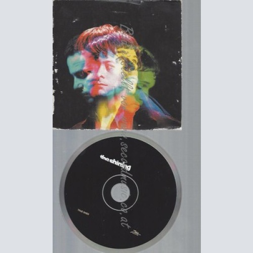 CD--CARDSLEEVE-THE SHINNING--TRUE SKIES----PROMO