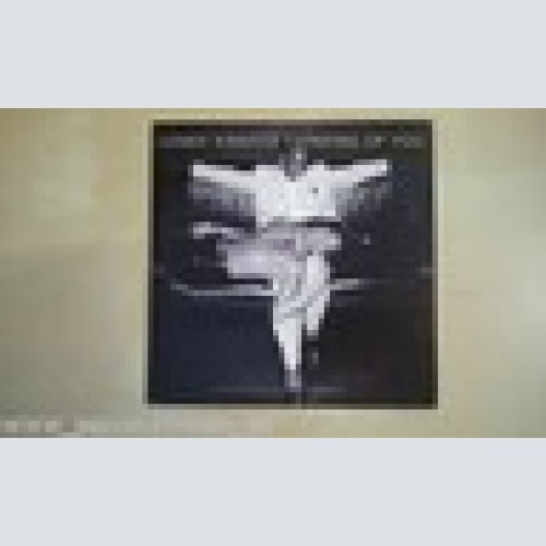 MAXI CD--LENNY KRAVITZ--THINKING OF YOU--2- TRACKS--CARDSLEEVE