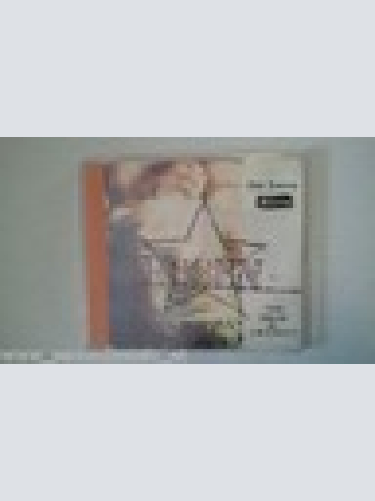 MAXI CD-- DIE TOTEN HOSEN -- NICHTS BLEIBT FÜR DIE EWIGKEIT--4 TRACKS