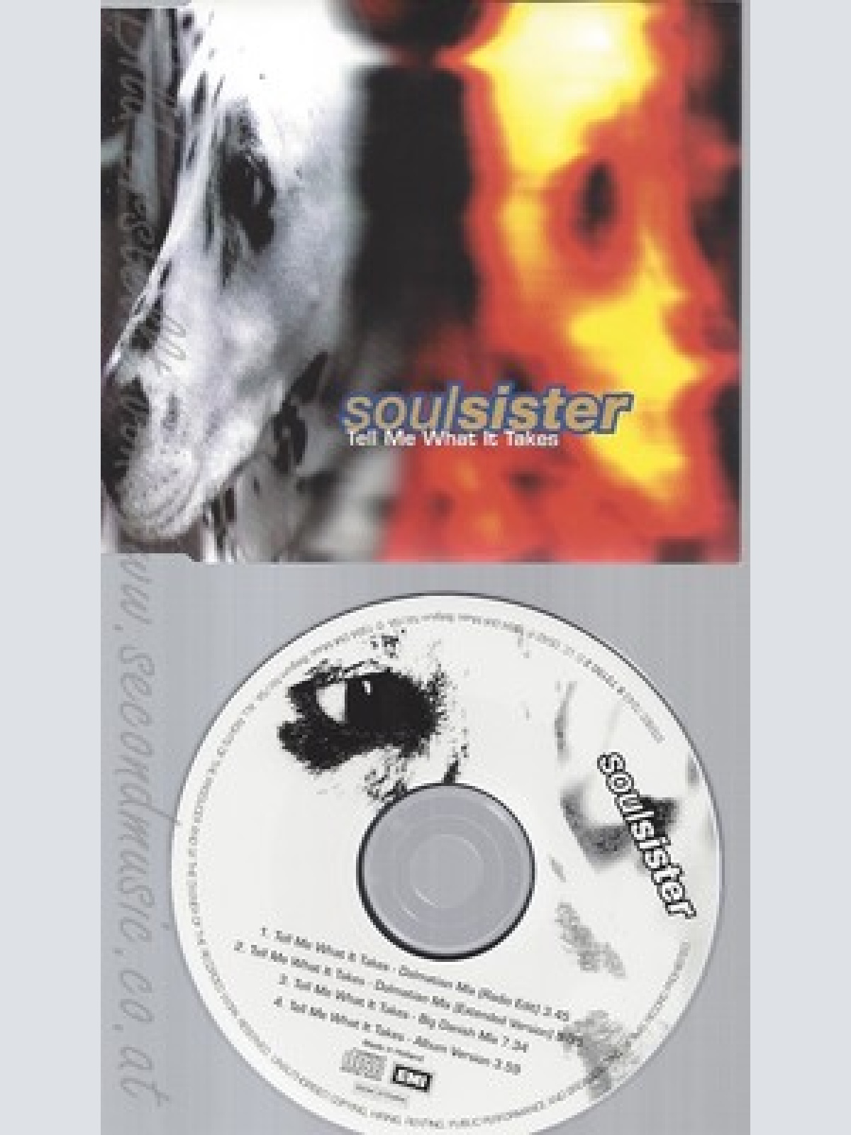 MAXI CD--SOULSISTER -- - MAXI -- TELL ME WHAT IT TAKES