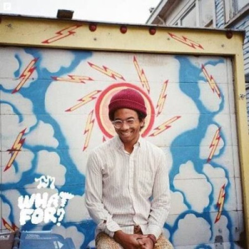 LP, Album Toro Y Moi - What For?
