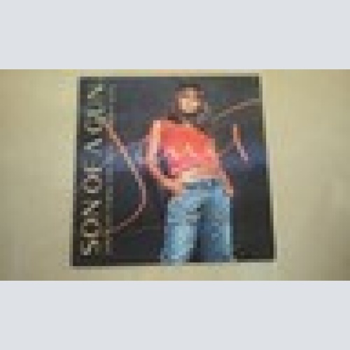 MAXI CD--JANET JACKSON--SON OF A GUN ---PROMO-CARDSLEEVE-2 TRACKS